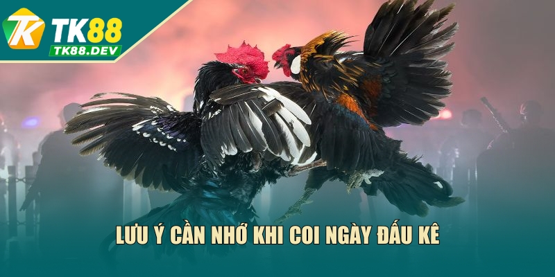 Lưu ý cần nhớ khi coi ngày đấu kê