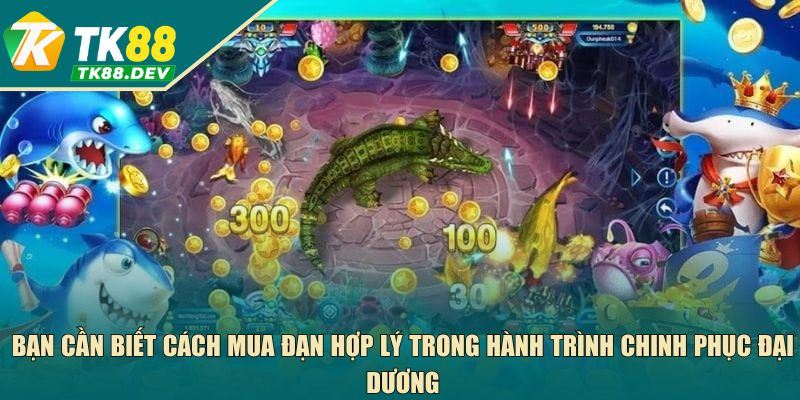 Bạn cần biết cách mua đạn hợp lý trong hành trình chinh phục đại dương