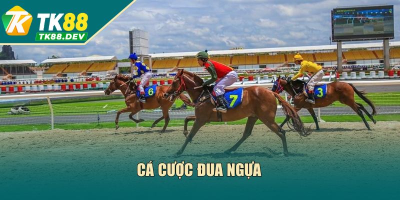Cá Cược Đua Ngựa Tk88: Hướng Dẫn Cách Chơi Và Luật Đặt Cược
