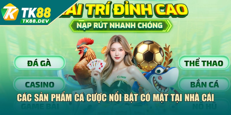 Nhà cái sở hữu sức hấp dẫn ấn tượng