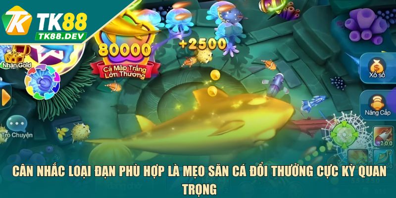 Cân nhắc loại đạn phù hợp là mẹo săn cá đổi thưởng cực kỳ quan trọng