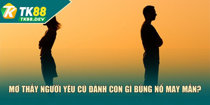 Mơ Thấy Người Yêu Cũ Đánh Con Gì Bùng Nổ May Mắn?