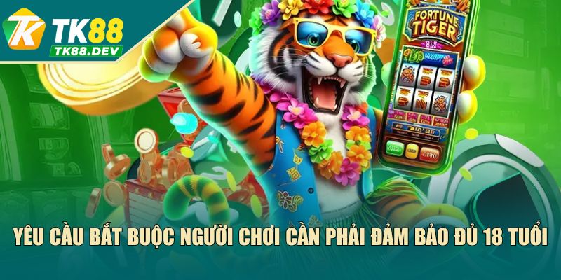 Yêu cầu bắt buộc người chơi cần phải đảm bảo đủ 18 tuổi